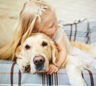 cão e gato animais crianças