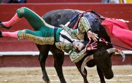 Toureiro espanhol sofre duas violentas cornadas. Veja o vídeo 