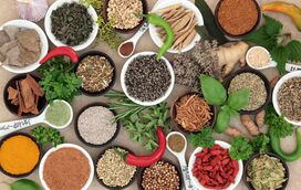 O poder dos superalimentos 