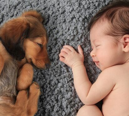Quer dormir bem? Durma com o seu cão ou gato
