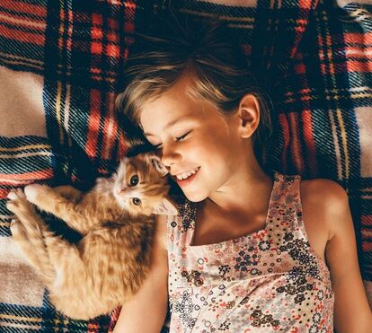 O ronronar dos gatos cura doenças