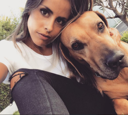 Veja como os famosos mimam os seus animais
