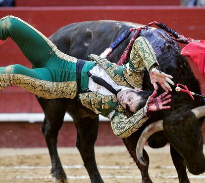 Toureiro espanhol sofre duas violentas cornadas. Veja o vídeo 