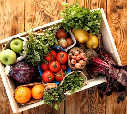Legumes biológicos funcionam como vacinas