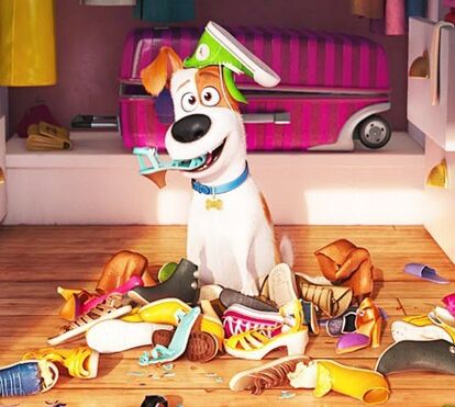 Trailer de 'A vida secreta dos nossos bichos'