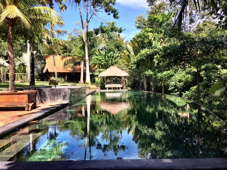 josé carlos pereira