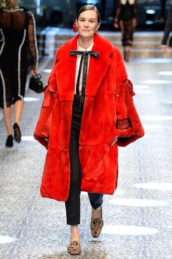 Dolce&gabbana outono/inverno 2018