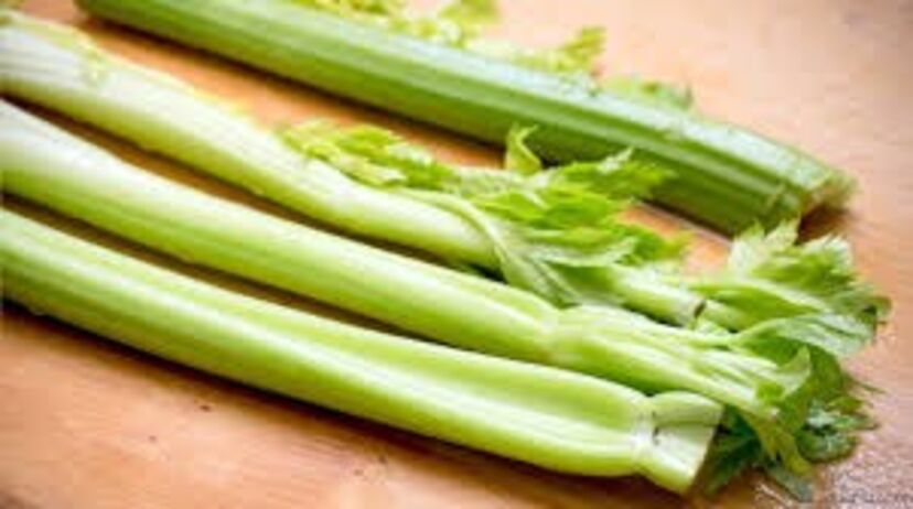 aipo alimentos