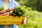 alimentos fruta legumes vegetais biológicos