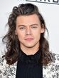 Harry Styles 