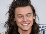 Harry Styles 