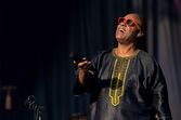 Stevie Wonder