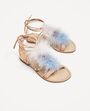 Shooping Coachella