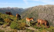 serra da peneda gerês