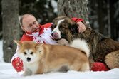 Putin cão cães