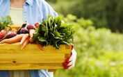 alimentos fruta legumes vegetais biológicos