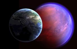 Margarida Rebelo Pinto: Super Terra 