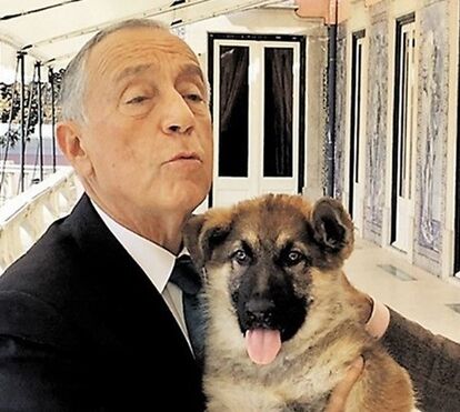 Marcelo Rebelo de Sousa não tem tempo para o cão