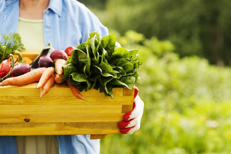 alimentos fruta legumes vegetais biológicos