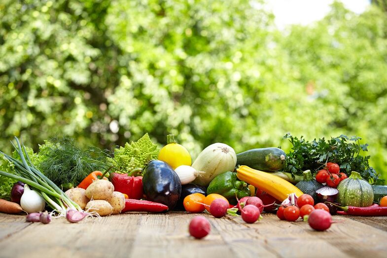 alimentos comida