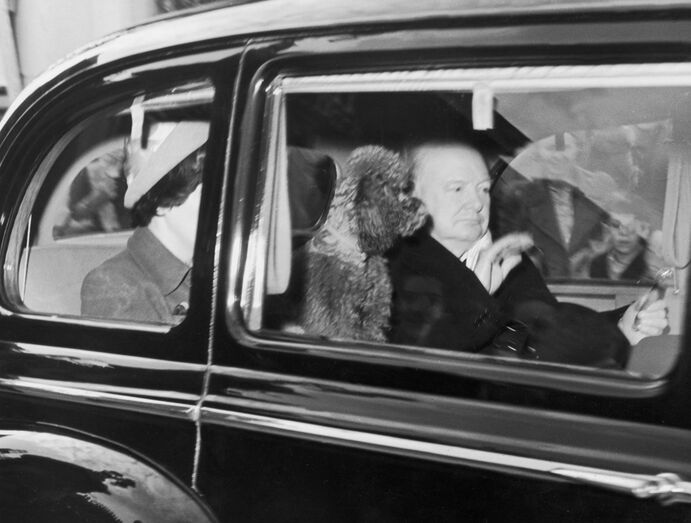 cHURCHILL CÃO