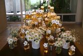 Festa Daisy, Marc Jacobs