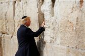 donald trump, melania trump