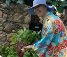 Jó Caneças, horta, cancro