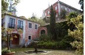 madonna quinta