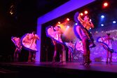 Festa, algarve, dice club