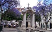 Jacarandás, Lisboa