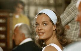 Túmulo de Romy Schneider profanado