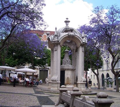Amanhã, talvez