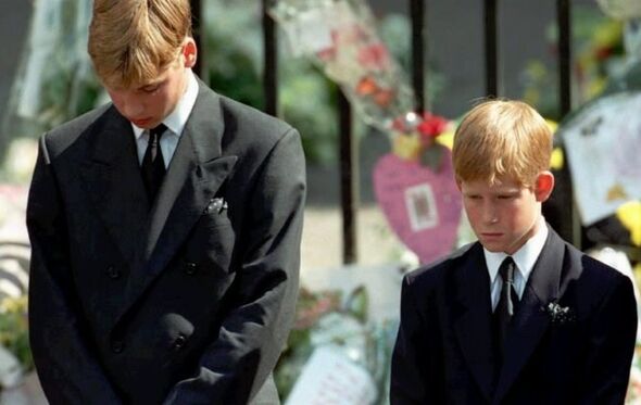 William e Harry no funeral da mãe