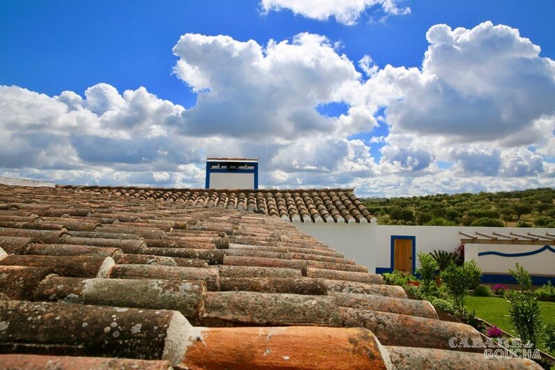 Manuel Luís Goucha, Alentejo