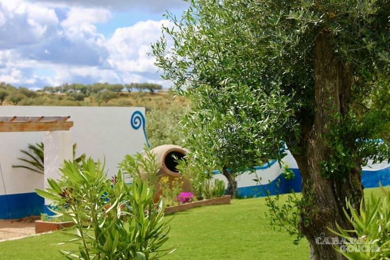 Manuel Luís Goucha, Alentejo