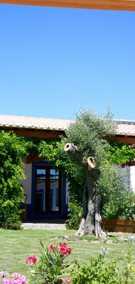 Manuel Luís Goucha, Alentejo