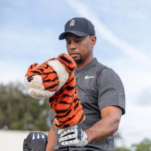 Tiger Woods