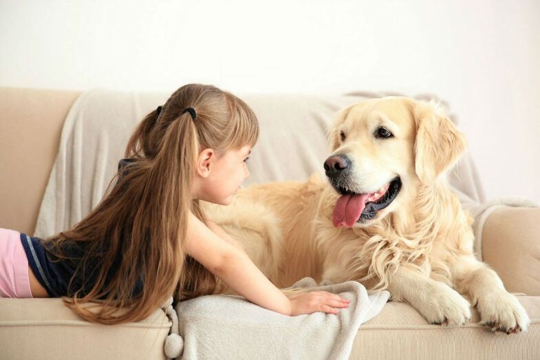 cão criança