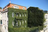 As Janelas Verdes 