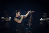 Ricky Martin, Meo arenas