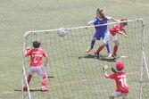 dinis aveiro, sobrinho de cristiano, katia aveiro, josé pereira 