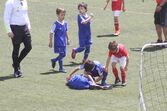 dinis aveiro, sobrinho de cristiano, katia aveiro, josé pereira 