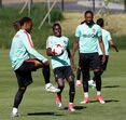 renato sanches 