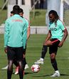 renato sanches 