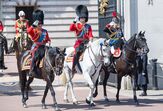 Parada Trooping the colour