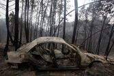 incêndio pedrógão