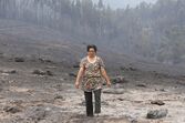 incêndio pedrógão