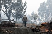 incêndio pedrógão