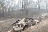 incêndio pedrógão
